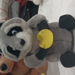 Disney Raccoon